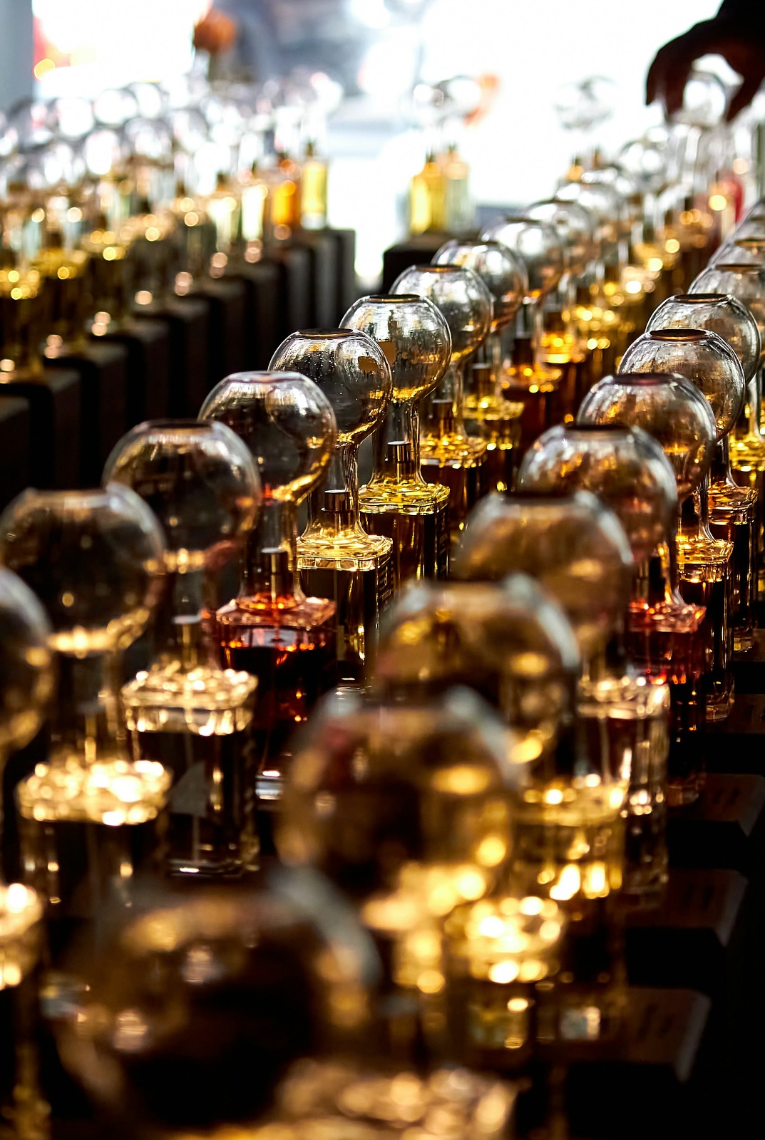 Premium perfume presentation